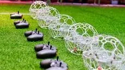 摩洛哥大胜尼日利亚，荣膺2025非洲国锦赛冠军