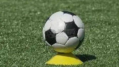 乐竞体育 资讯 112817 str