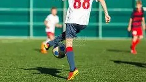 乐竞体育 资讯 133303 yz6