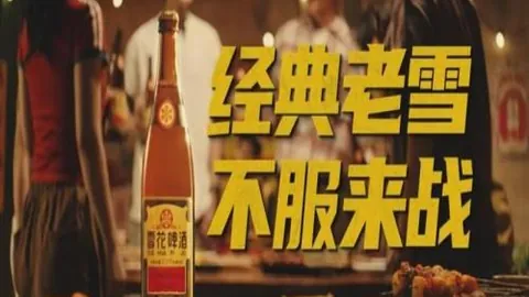 2026年深度解析：西班牙与鲁尔交手指南